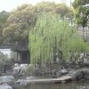 Photos de Chine
