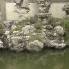 Photos de Chine