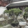 Photos de Chine