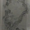 Photos de Chine