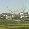 Photos de Chine