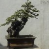Photos de Chine