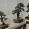 Photos de Chine