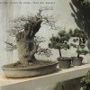 Photos de Chine