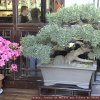 Photos de Chine