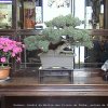 Photos de Chine