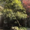 Photos de Chine
