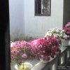 Photos de Chine