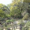 Photos de Chine