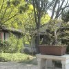 Photos de Chine