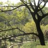 Photos de Chine