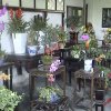 Photos de Chine