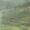 Photos de Chine