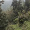Photos de Chine