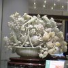 Photos de Chine