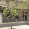 Photos de Chine