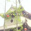 Photos de Chine