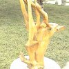 Photos de Chine