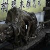 Photos de Chine