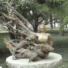Photos de Chine