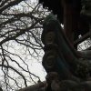 Photos de Chine