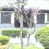 Photos de Chine