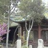 Photos de Chine