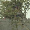 Photos de Chine