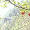 Photos de Chine