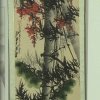 Photos de Chine