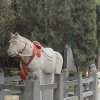 Photos de Chine
