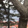 Photos de Chine