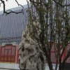 Photos de Chine