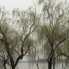 Photos de Chine