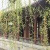 Photos de Chine