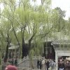 Photos de Chine