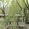 Photos de Chine