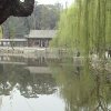 Photos de Chine