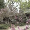 Photos de Chine