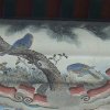 Photos de Chine