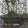 Photos de Chine