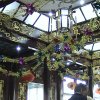 Photos de Chine
