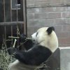 Home &raquo; Chine &raquo; Chine &raquo; 34-PEKIN