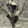 Photos de Chine