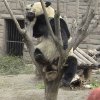 Photos de Chine