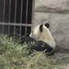 Photos de Chine