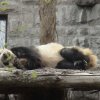 Photos de Chine