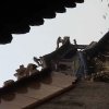 Photos de Chine