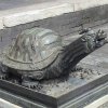 Photos de Chine