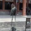 Photos de Chine